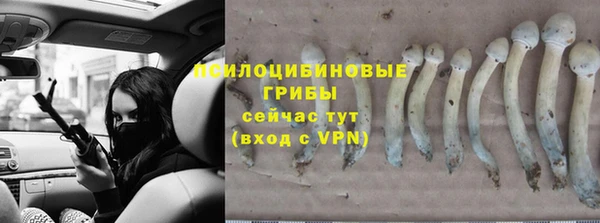 марки lsd Белокуриха