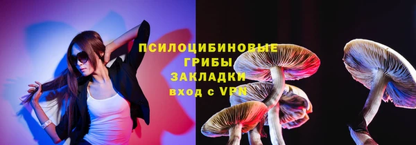 марки lsd Белокуриха