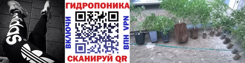 Канабис индика  Берёзовка 